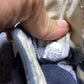 Converse ( Size 38 / 5.5 )