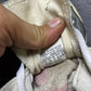 Converse ( Size 41.5 - 42 / 7.5 - 8 )