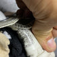 Converse ( Size 41 / 8 )