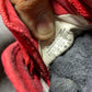 Converse ( Size 40 / 7 )